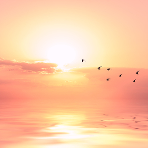 粗长灌满双龙猛男Gay2022
